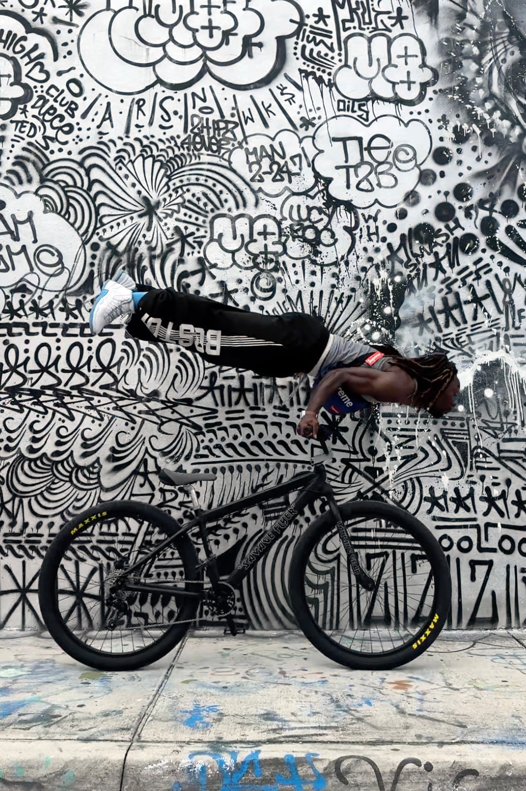 SE BIKES