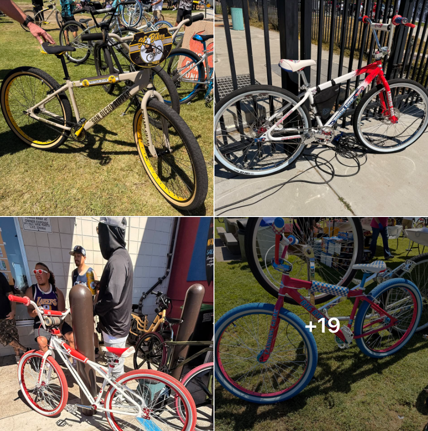 SE Bikes in the Wild!