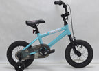 Bronco 12" (2018)