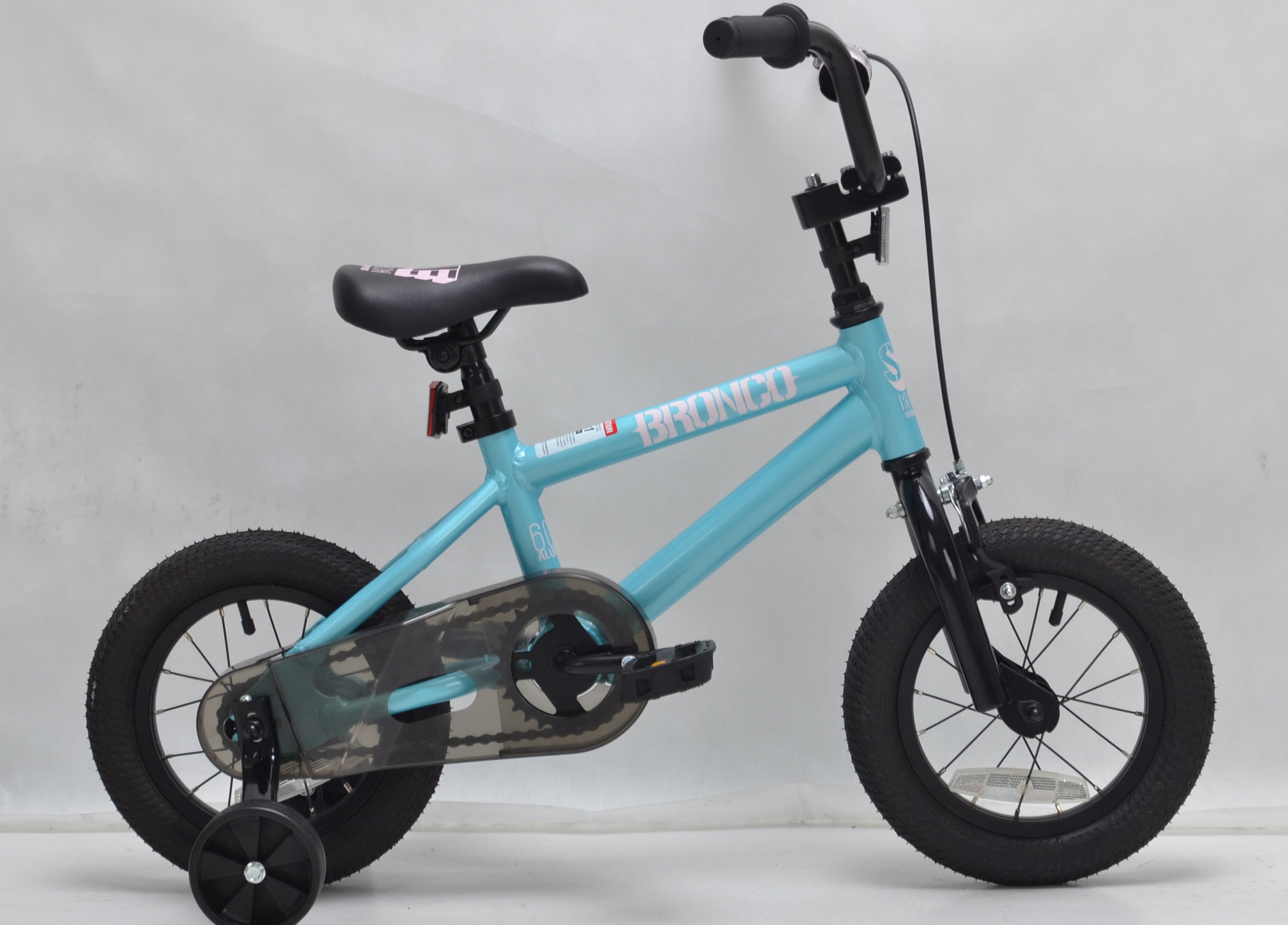 Bronco 12" (2018)