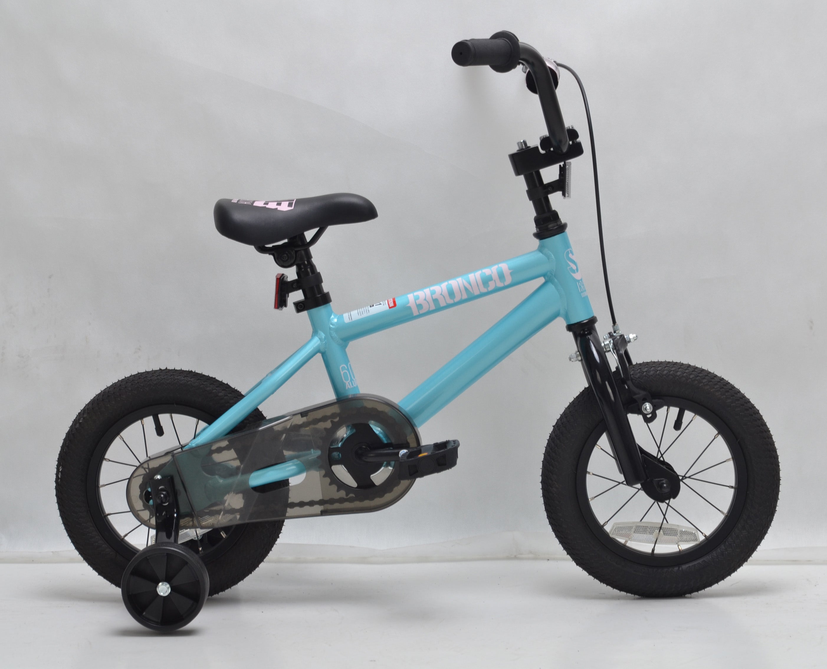 Bronco 12" (2018)