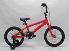 Bronco 16" (2018)