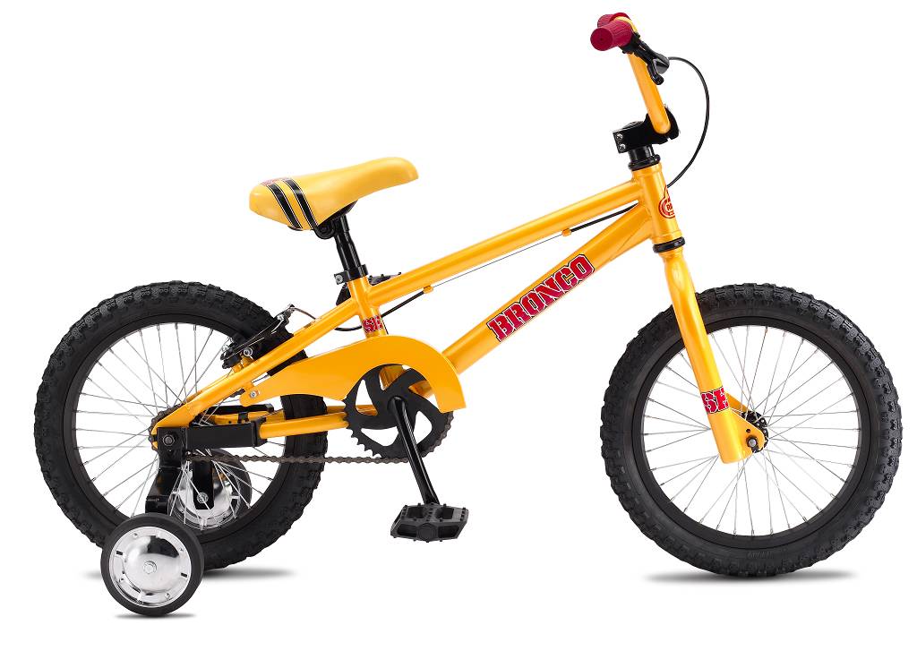 Bronco 16" (2011)