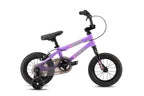 Bronco 12" (2021)