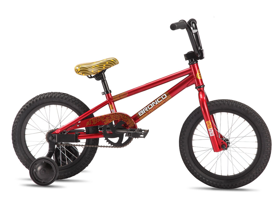 Bronco 16" (2012)