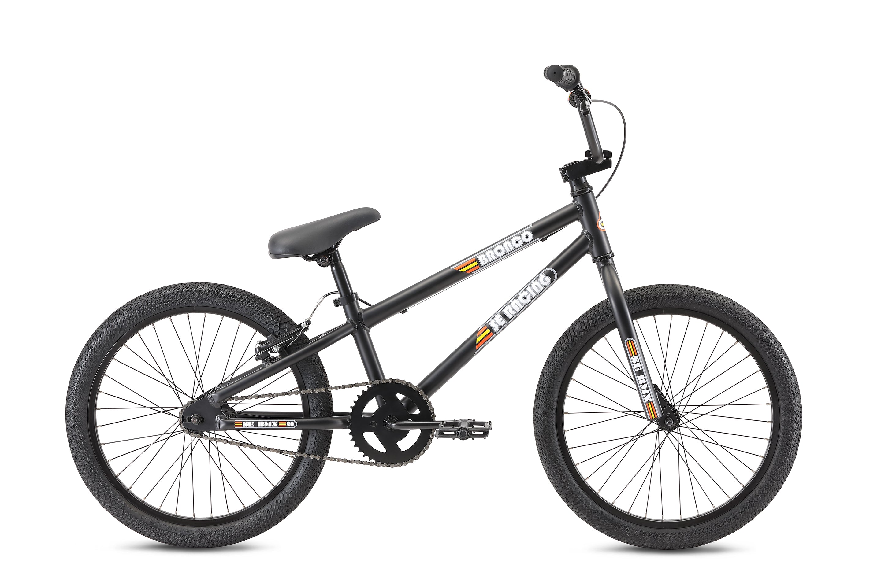Bronco 20" (2021)