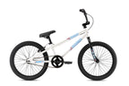 Bronco 20" (2021)