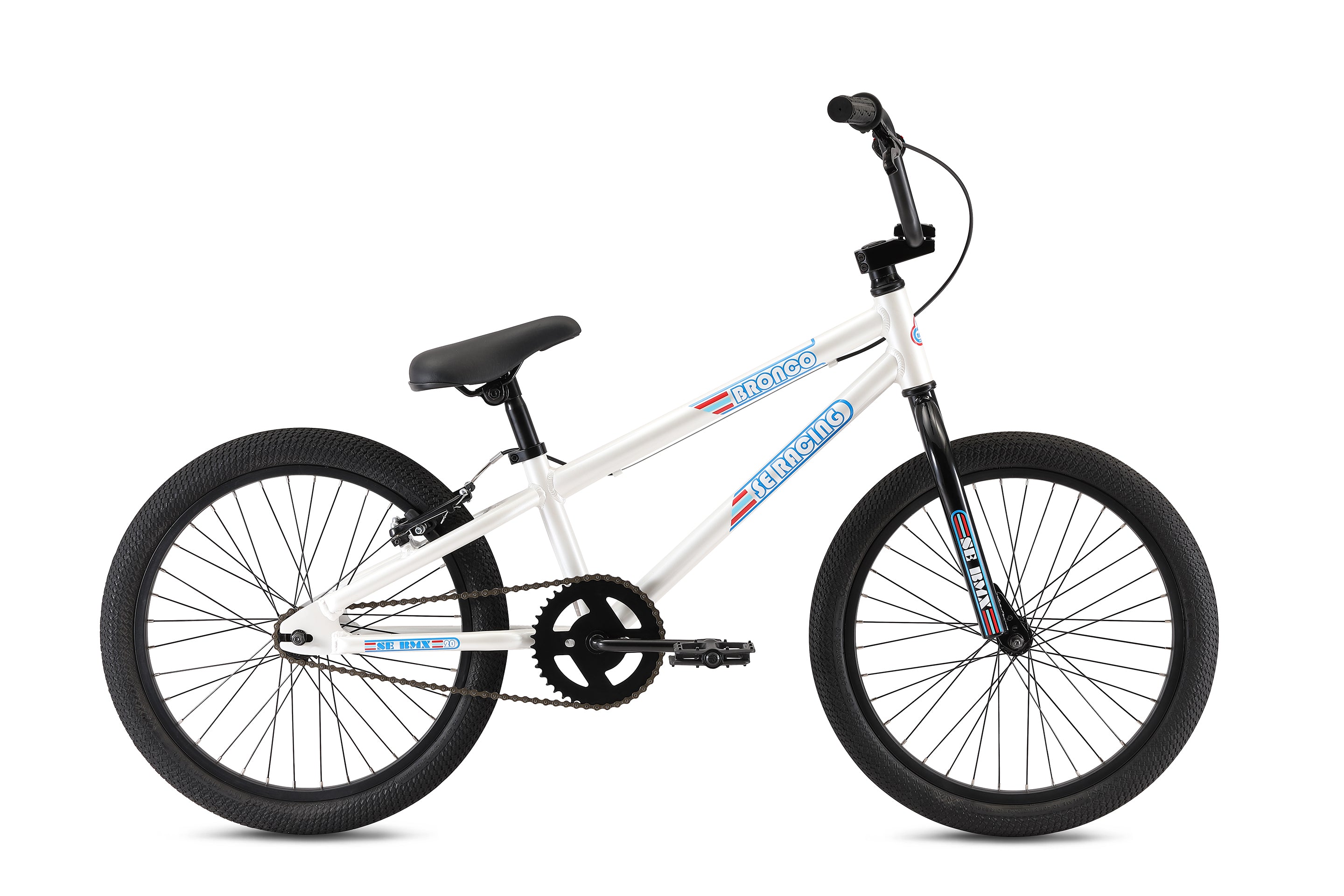 Bronco 20" (2021)