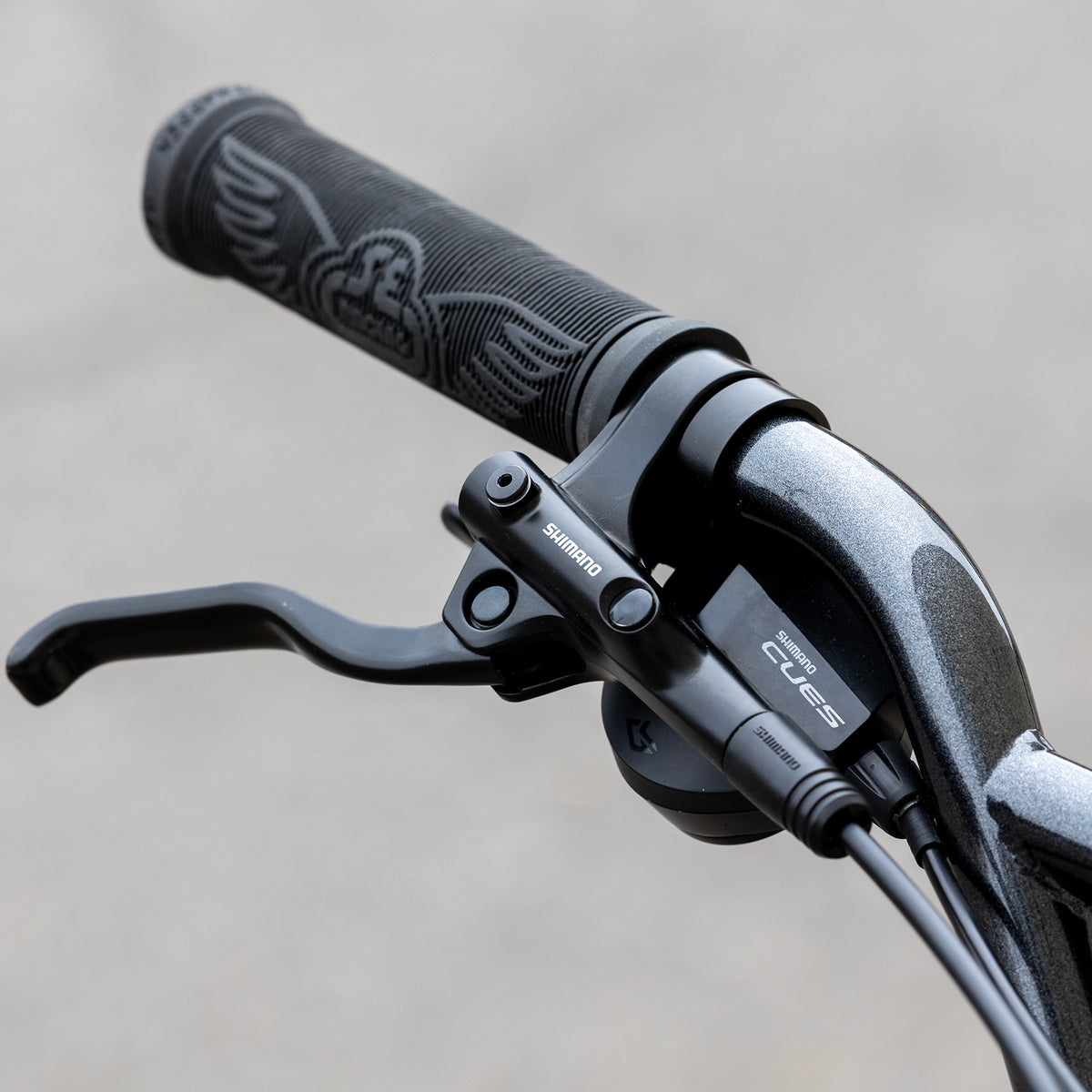 Fast Ripper 29