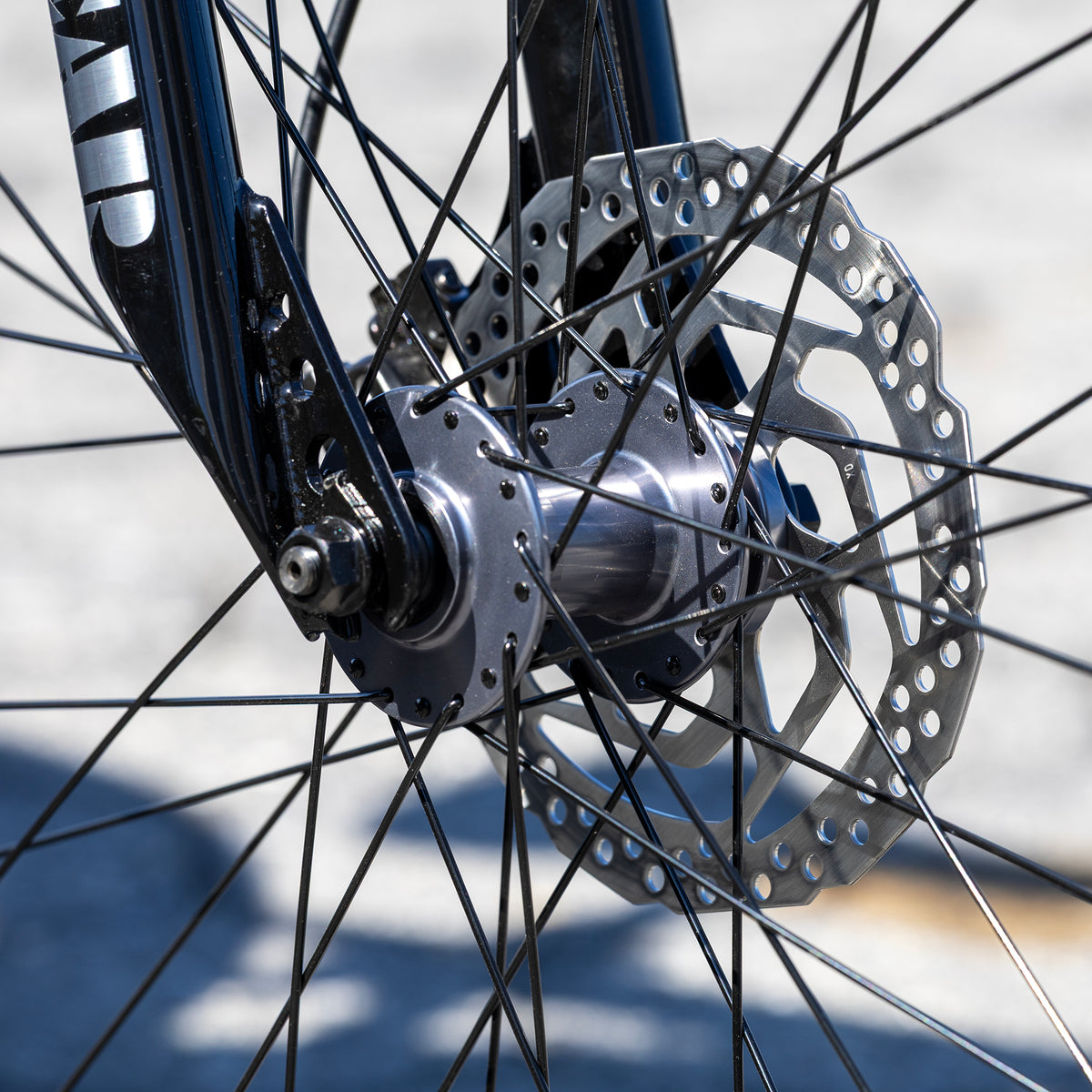 Fast Ripper 29
