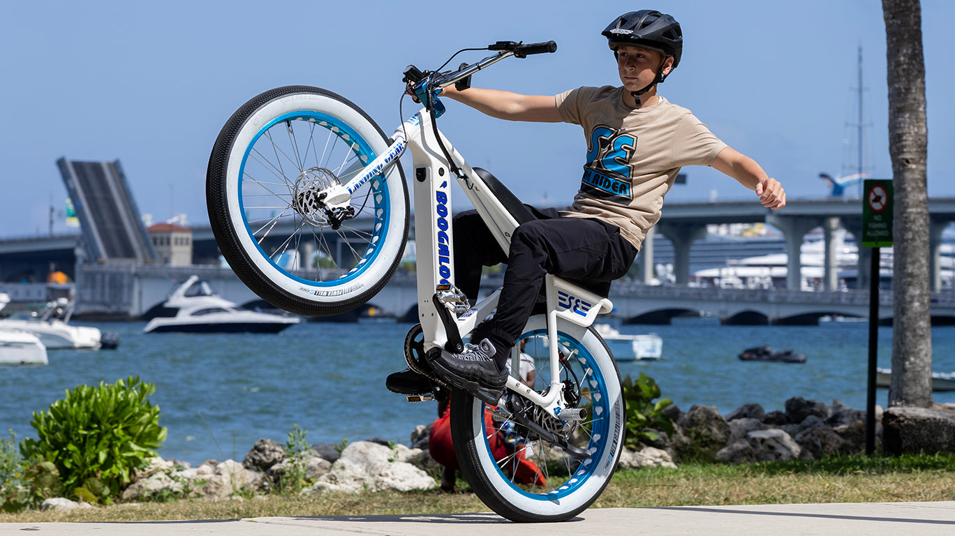 【値下げ】SEレーシング BIGWOODY 【10796531】 SE BIKES