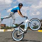 Electric Boogaloo 24"