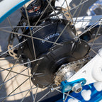 Electric Boogaloo 24"