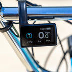 Electric Boogaloo 24"