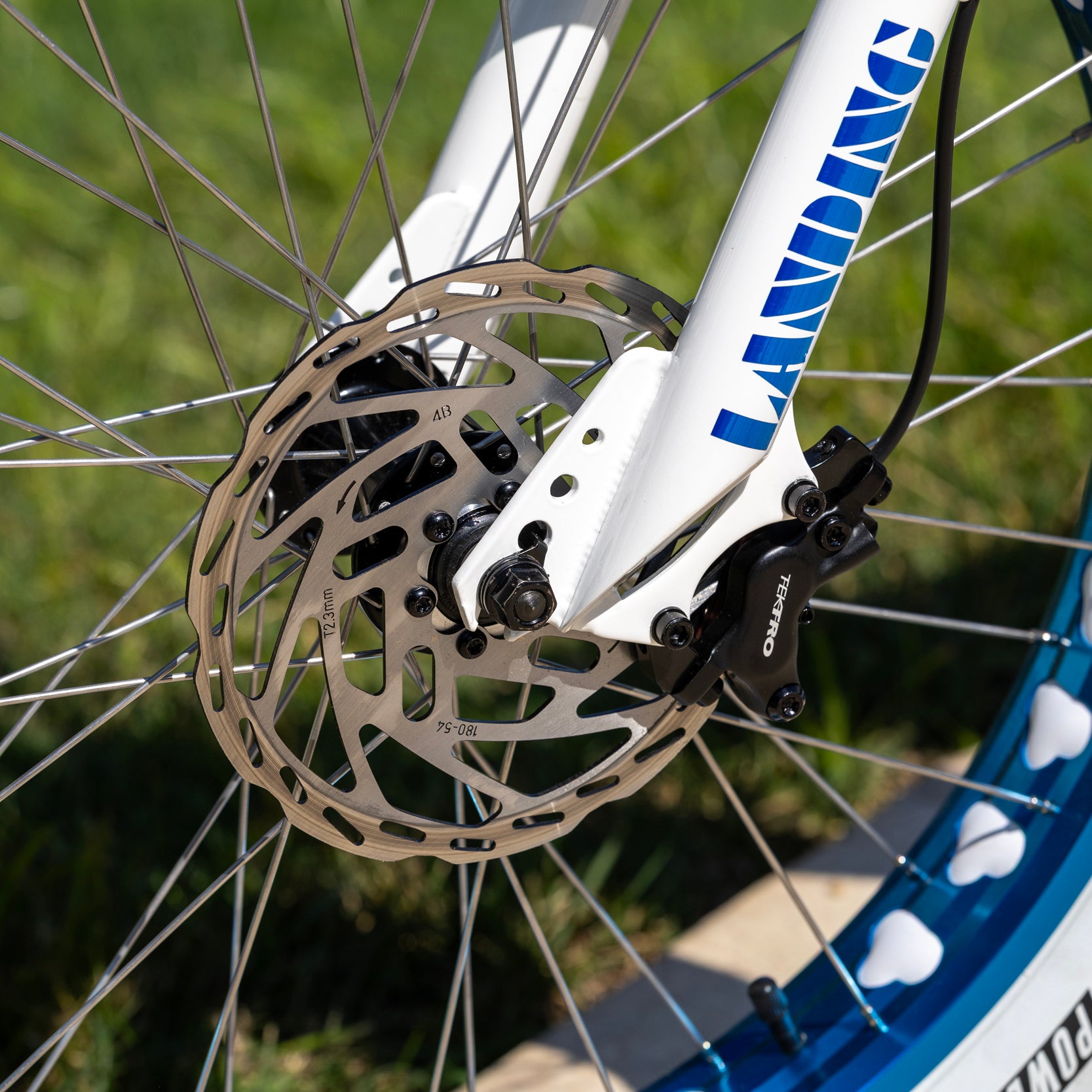 Electric Boogaloo 24"