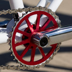 Quadangle Looptail 29"